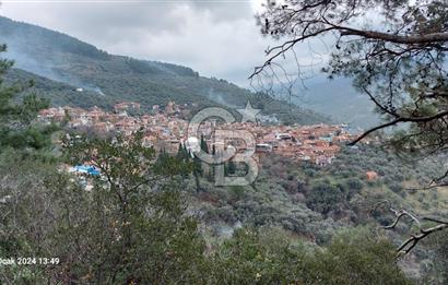  İZMİR BAYINDIR DEREKÖYDE SATILIK ZEYTİNLİK