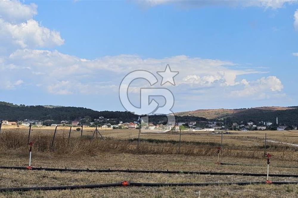 Edirne Keşan MecidiyeKöyü Yatırımlık SarosSahil 5km 4638 m²Tarla