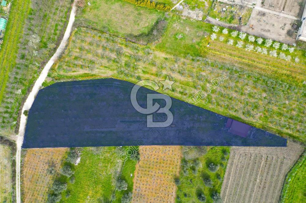 Kuşadası Kirazlı’da Satılık Tarla | 3887 m² | İçinde 45 m² Yapı Kayıtlı Ev | Su ve Elektrik Var
