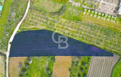 Kuşadası Kirazlı’da Satılık Tarla | 3887 m² | İçinde 45 m² Yapı Kayıtlı Ev | Su ve Elektrik Var