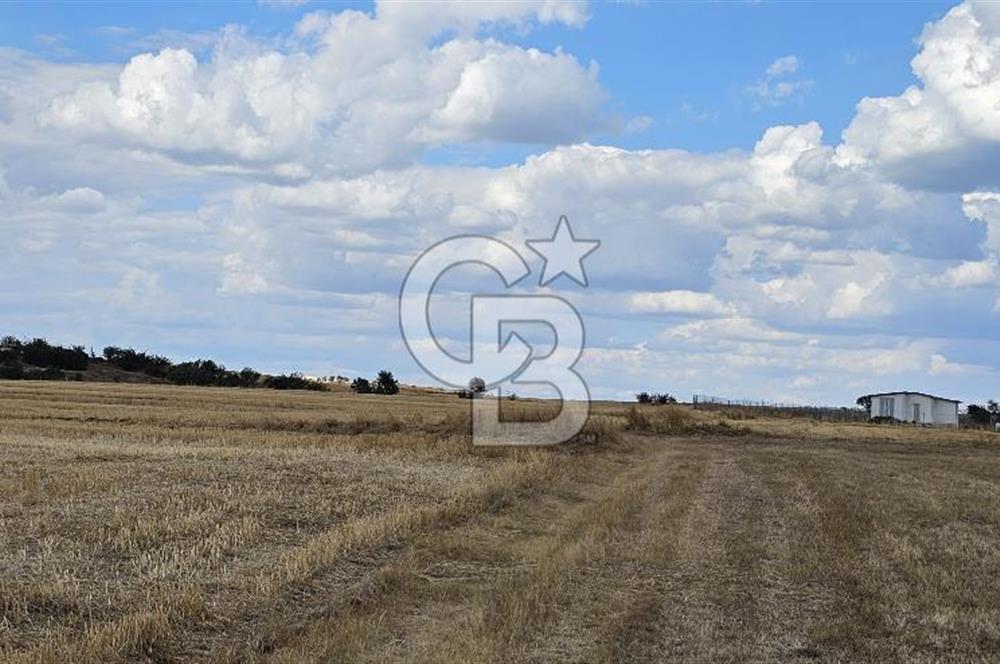 Edirne Keşan MecidiyeKöyü Yatırımlık SarosSahil 5km 4638 m²Tarla