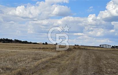 Edirne Keşan MecidiyeKöyü Yatırımlık SarosSahil 5km 4638 m²Tarla