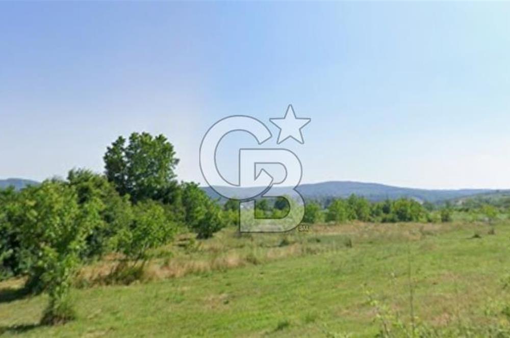 ADAPAZARI MAHMUDİYE'DE SATILIK TEK TAPULU 10.460 M2 ARAZİ
