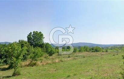 ADAPAZARI MAHMUDİYE'DE SATILIK TEK TAPULU 10.460 M2 ARAZİ