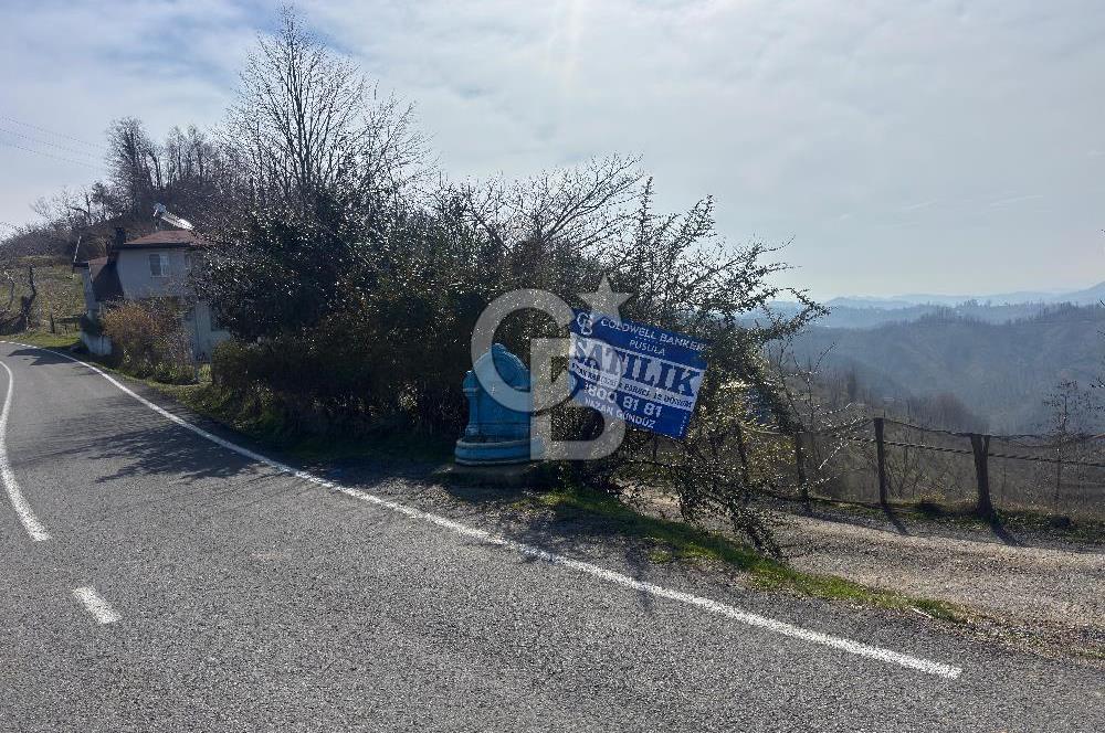 Ordu Perşembe Medreseönünde satılık 12 dönüm fındık 