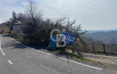 Ordu Perşembe Medreseönünde satılık 12 dönüm fındık 