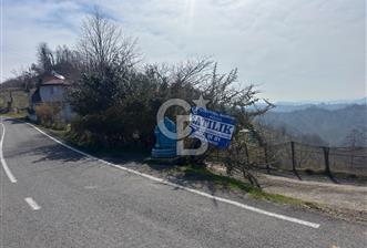 Ordu Perşembe Medreseönünde satılık 12 dönüm fındık  - 6 - 338995