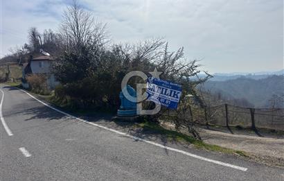 Ordu Perşembe Medreseönünde satılık 12 dönüm fındık 