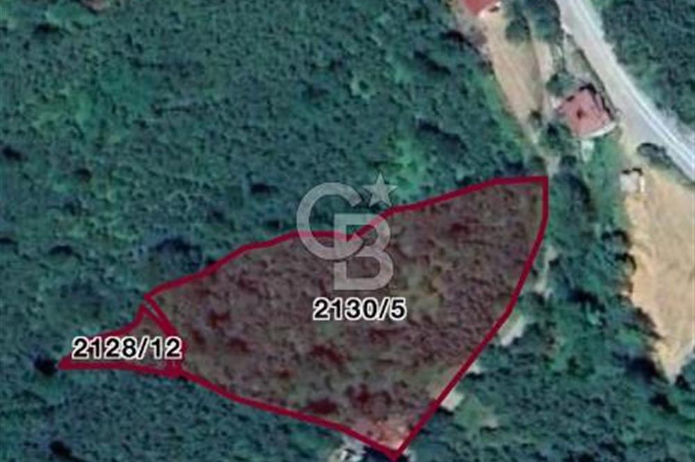 Ordu Perşembe Medreseönünde satılık 12 dönüm fındık 