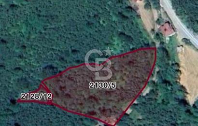 Ordu Perşembe Medreseönünde satılık 12 dönüm fındık 