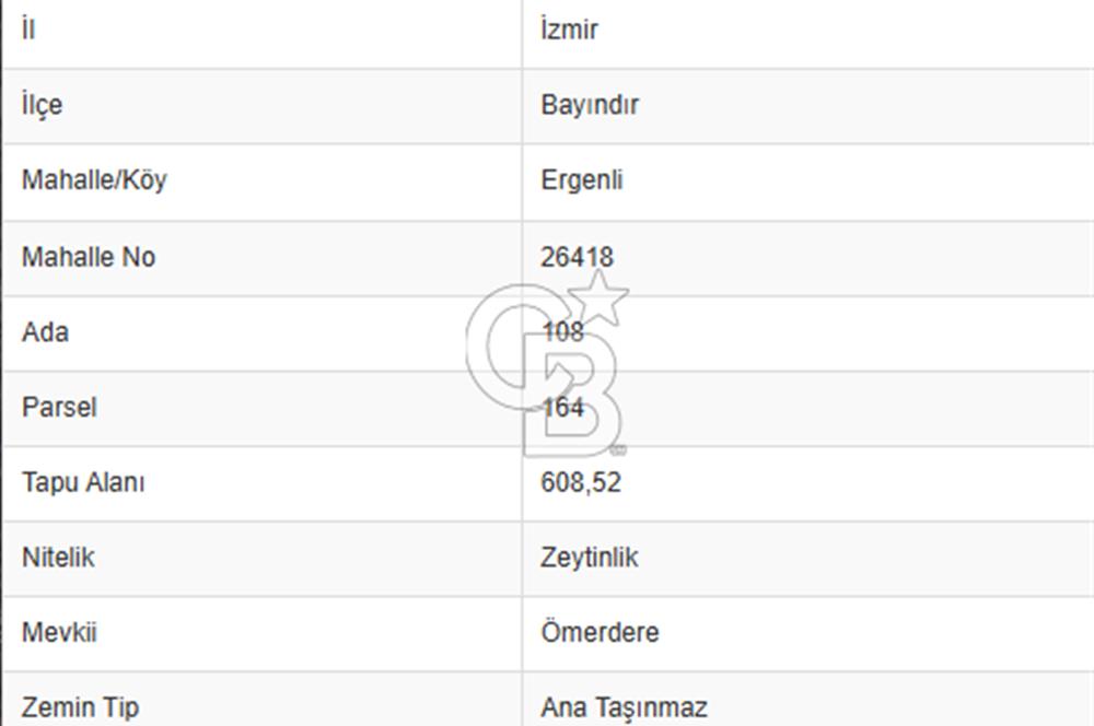  İZMİR BAYINDIR DEREKÖYDE SATILIK ZEYTİNLİK