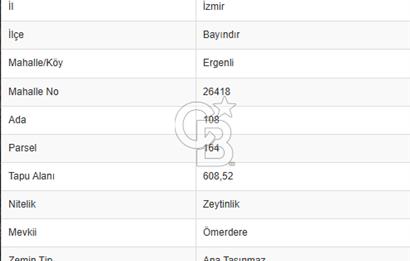  İZMİR BAYINDIR DEREKÖYDE SATILIK ZEYTİNLİK