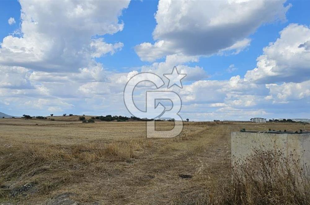 Edirne Keşan MecidiyeKöyü Yatırımlık SarosSahil 5km 4638 m²Tarla