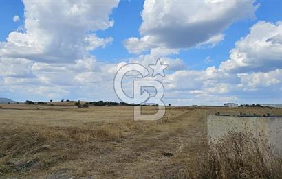 Edirne Keşan MecidiyeKöyü Yatırımlık SarosSahil 5km 4638 m²Tarla