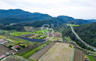 Kuşadası Kirazlı’da Satılık Tarla | 3887 m² | İçinde 45 m² Yapı Kayıtlı Ev | Su ve Elektrik Var