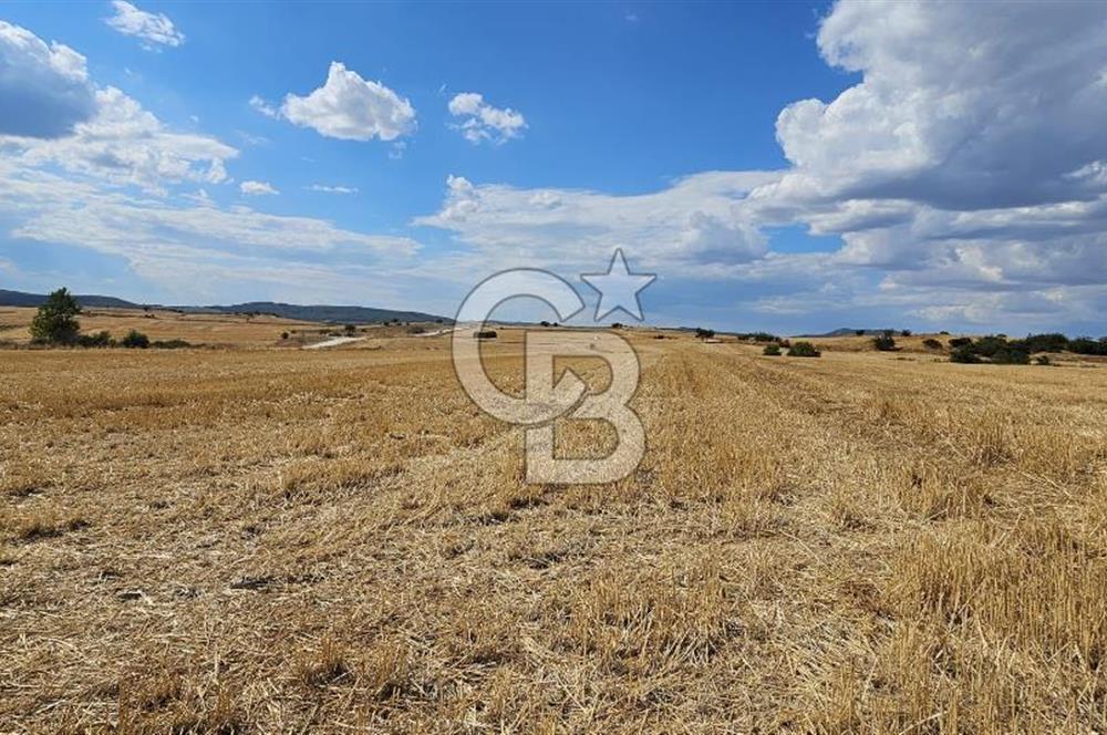 Edirne Keşan MecidiyeKöyü Yatırımlık SarosSahil 5km 4638 m²Tarla