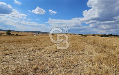 Edirne Keşan MecidiyeKöyü Yatırımlık SarosSahil 5km 4638 m²Tarla