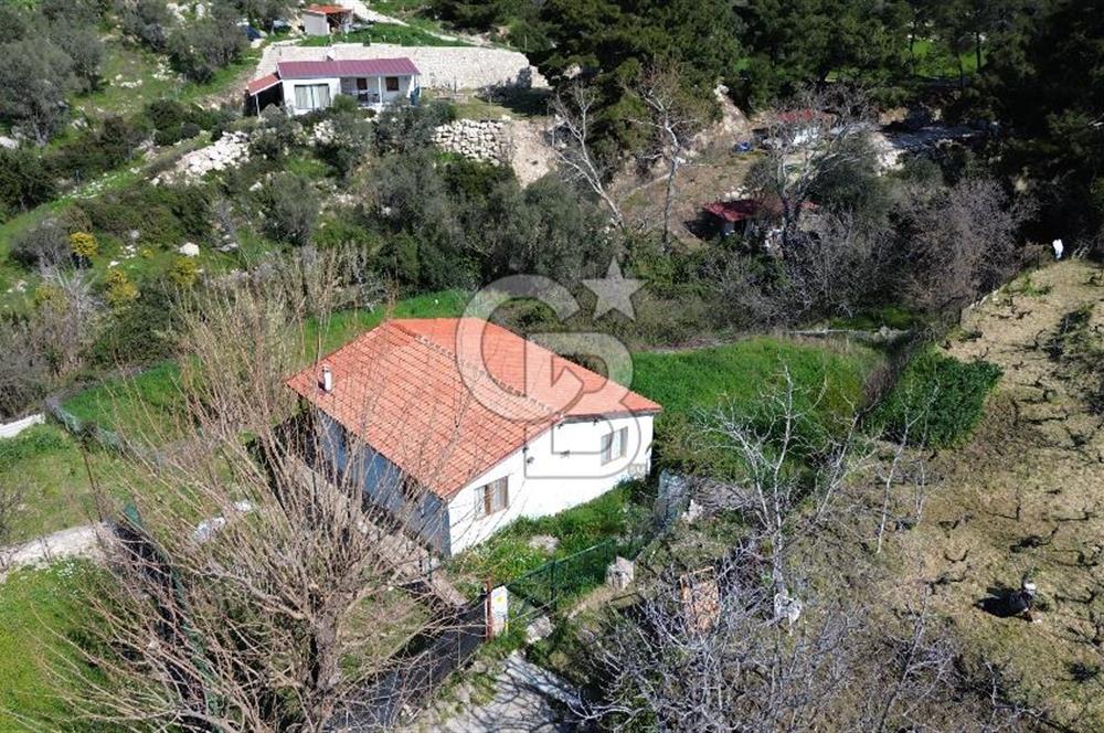 Karaburun Eğlenhoca'da 2+1 Bahçeli Tam Müstakil Ev