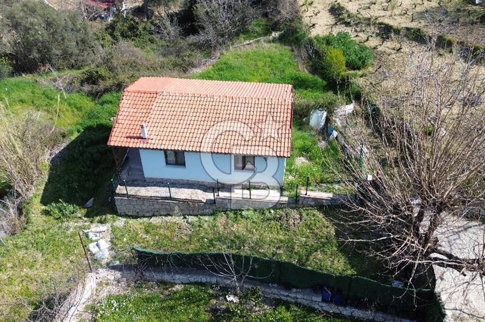 Karaburun Eğlenhoca'da 2+1 Bahçeli Tam Müstakil Ev