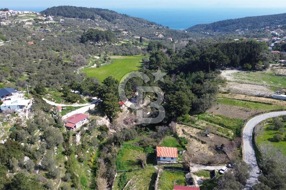 Karaburun Eğlenhoca'da 2+1 Bahçeli Tam Müstakil Ev