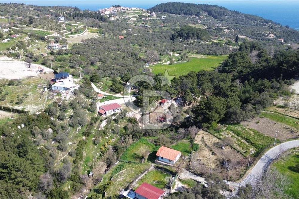 Karaburun Eğlenhoca'da 2+1 Bahçeli Tam Müstakil Ev