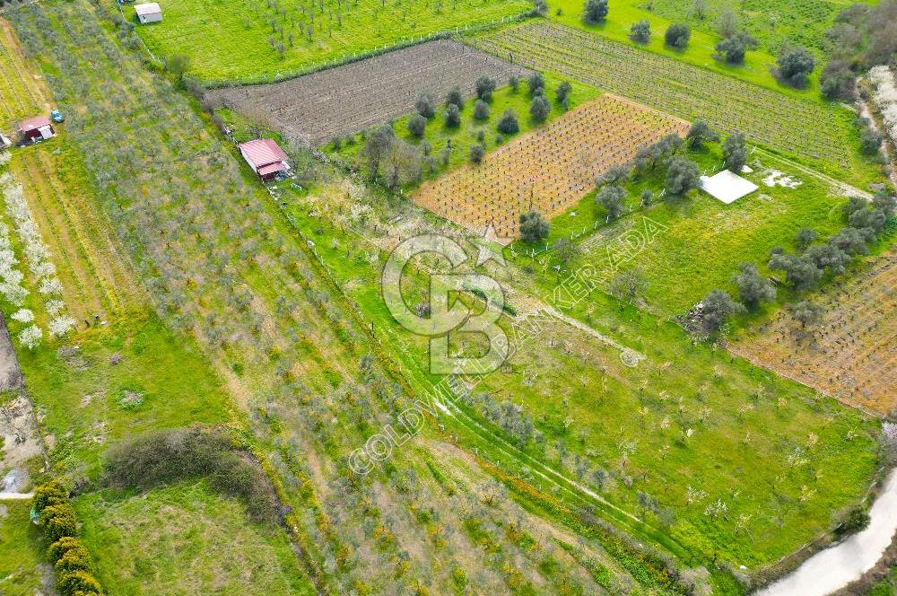 Kuşadası Kirazlı’da Satılık Tarla | 3887 m² | İçinde 45 m² Yapı Kayıtlı Ev | Su ve Elektrik Var