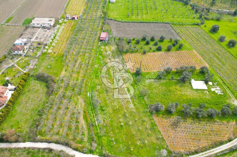 Kuşadası Kirazlı’da Satılık Tarla | 3887 m² | İçinde 45 m² Yapı Kayıtlı Ev | Su ve Elektrik Var