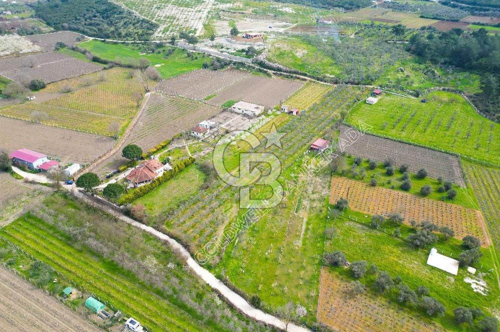 Kuşadası Kirazlı’da Satılık Tarla | 3887 m² | İçinde 45 m² Yapı Kayıtlı Ev | Su ve Elektrik Var