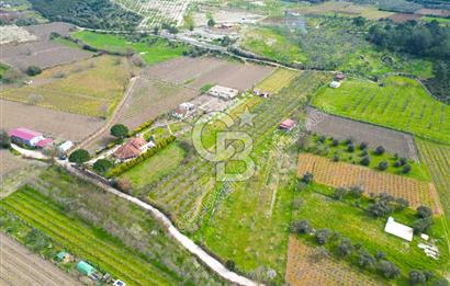 Kuşadası Kirazlı’da Satılık Tarla | 3887 m² | İçinde 45 m² Yapı Kayıtlı Ev | Su ve Elektrik Var