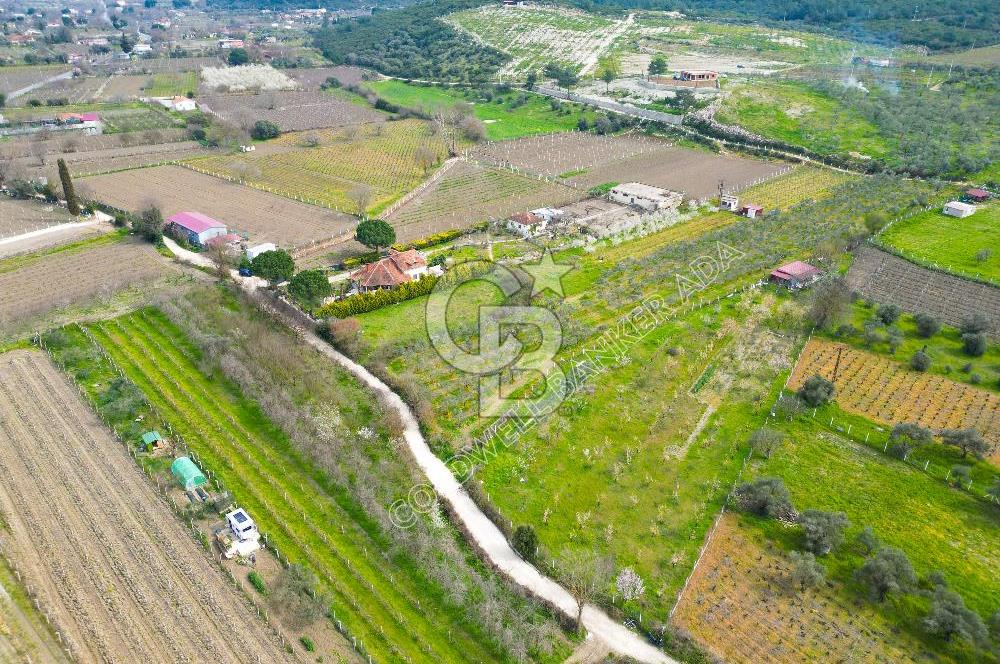 Kuşadası Kirazlı’da Satılık Tarla | 3887 m² | İçinde 45 m² Yapı Kayıtlı Ev | Su ve Elektrik Var