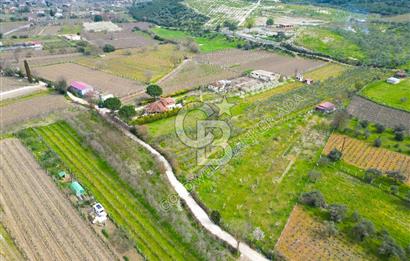 Kuşadası Kirazlı’da Satılık Tarla | 3887 m² | İçinde 45 m² Yapı Kayıtlı Ev | Su ve Elektrik Var