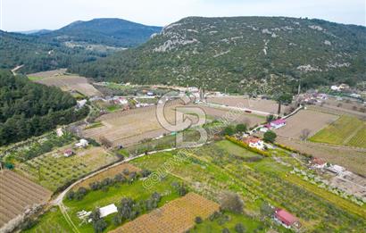 Kuşadası Kirazlı’da Satılık Tarla | 3887 m² | İçinde 45 m² Yapı Kayıtlı Ev | Su ve Elektrik Var