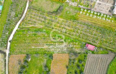 Kuşadası Kirazlı’da Satılık Tarla | 3887 m² | İçinde 45 m² Yapı Kayıtlı Ev | Su ve Elektrik Var