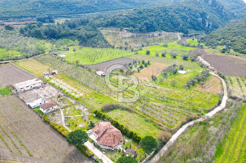 Kuşadası Kirazlı’da Satılık Tarla | 3887 m² | İçinde 45 m² Yapı Kayıtlı Ev | Su ve Elektrik Var