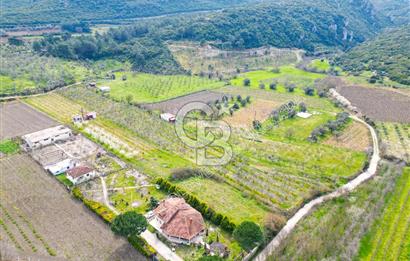 Kuşadası Kirazlı’da Satılık Tarla | 3887 m² | İçinde 45 m² Yapı Kayıtlı Ev | Su ve Elektrik Var