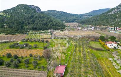 Kuşadası Kirazlı’da Satılık Tarla | 3887 m² | İçinde 45 m² Yapı Kayıtlı Ev | Su ve Elektrik Var