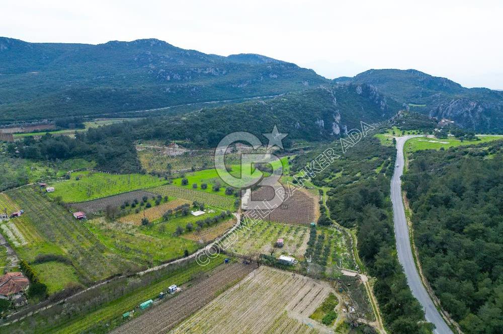 Kuşadası Kirazlı’da Satılık Tarla | 3887 m² | İçinde 45 m² Yapı Kayıtlı Ev | Su ve Elektrik Var