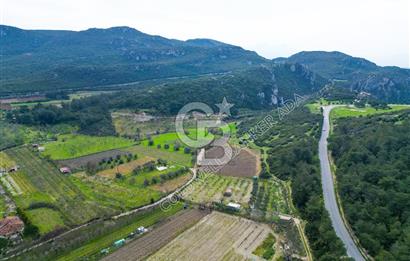 Kuşadası Kirazlı’da Satılık Tarla | 3887 m² | İçinde 45 m² Yapı Kayıtlı Ev | Su ve Elektrik Var