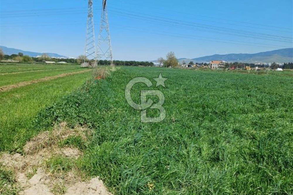 Menemen ulucakk’ta 14.593 m2 satılık tarla