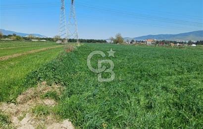 Menemen ulucakk’ta 14.593 m2 satılık tarla