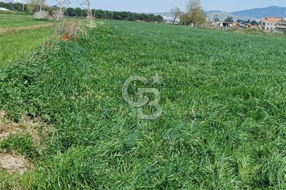 Menemen ulucakk’ta 14.593 m2 satılık tarla