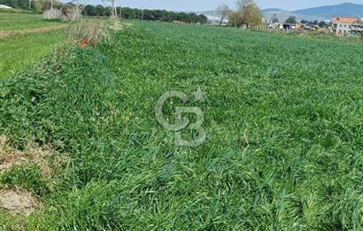 Menemen ulucakk’ta 14.593 m2 satılık tarla
