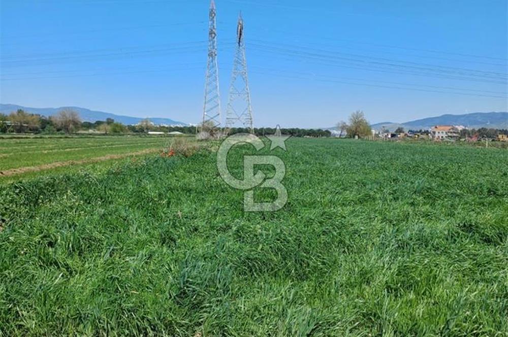 Menemen ulucakk’ta 14.593 m2 satılık tarla