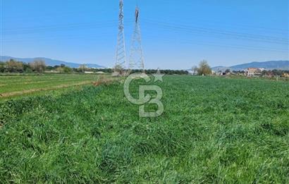 Menemen ulucakk’ta 14.593 m2 satılık tarla