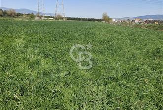 Menemen ulucakk’ta 14.593 m2 satılık tarla - 8 - 339007