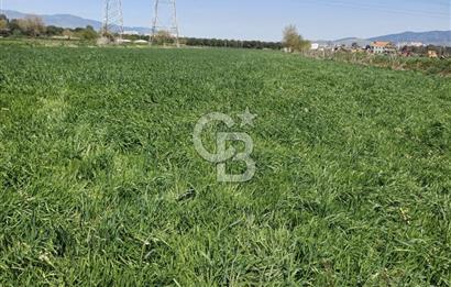 Menemen ulucakk’ta 14.593 m2 satılık tarla