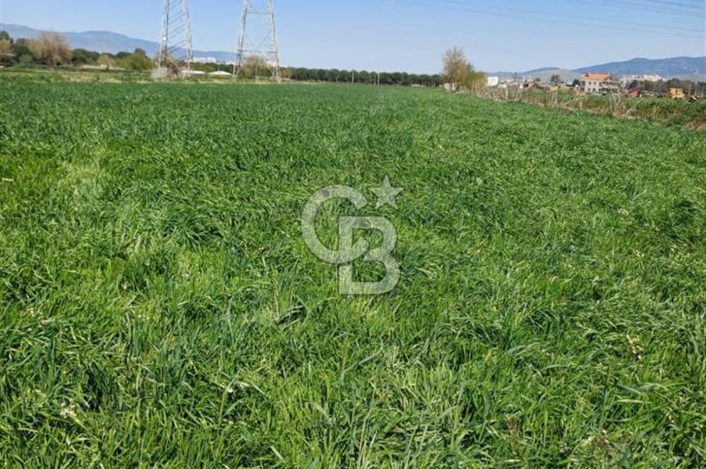 Menemen ulucakk’ta 14.593 m2 satılık tarla