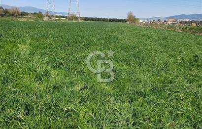 Menemen ulucakk’ta 14.593 m2 satılık tarla