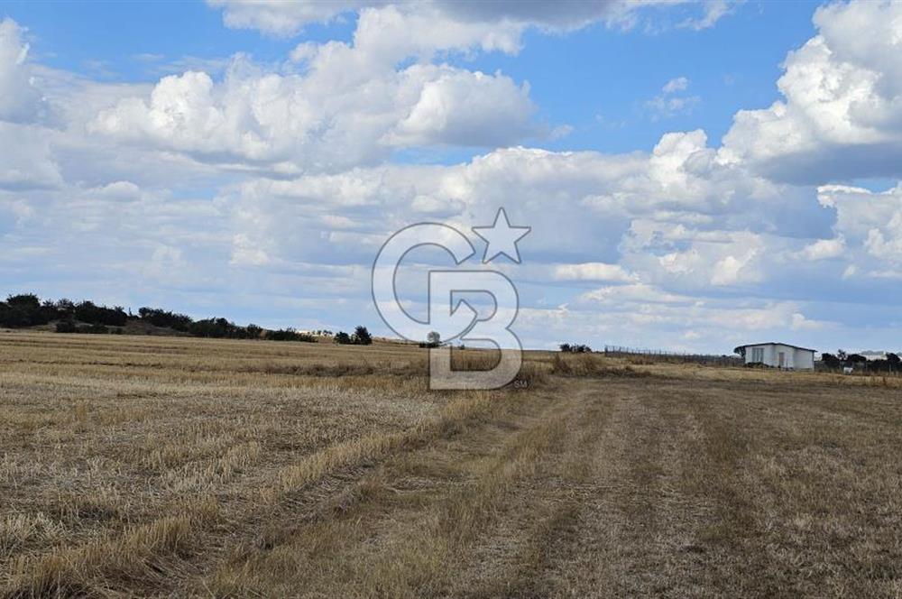 Edirne Keşan MecidiyeKöyü Yatırımlık SarosSahil 5km 4638 m²Tarla