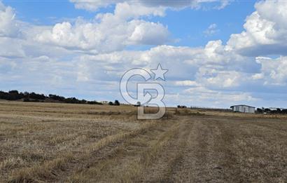 Edirne Keşan MecidiyeKöyü Yatırımlık SarosSahil 5km 4638 m²Tarla